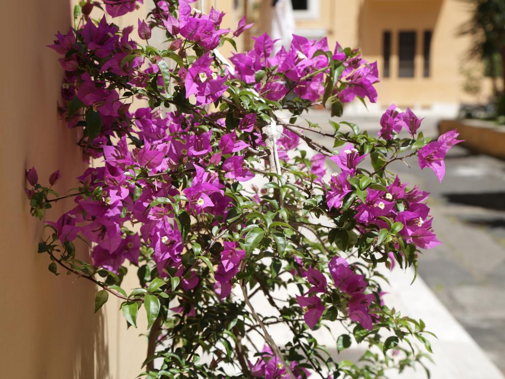 Guest House Masterintrastevere Roma Exterior foto